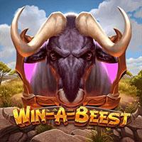 Win A Beest